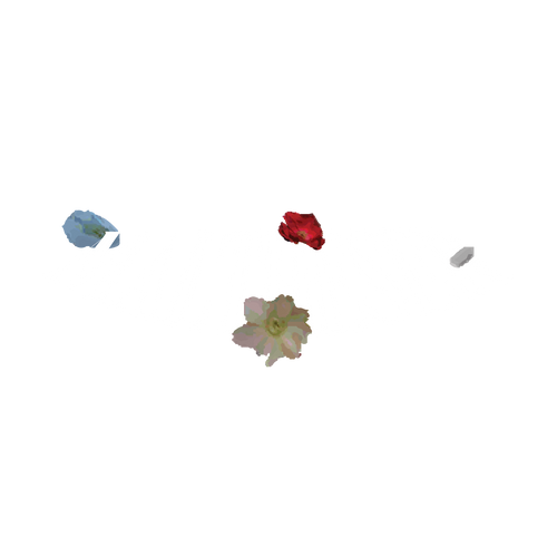 Maltheser